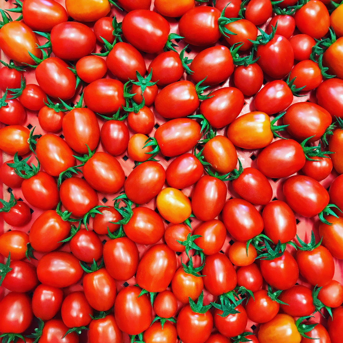 Fresh Local Produce Bundaberg Fruit and Vegetable Boxes We Deliver