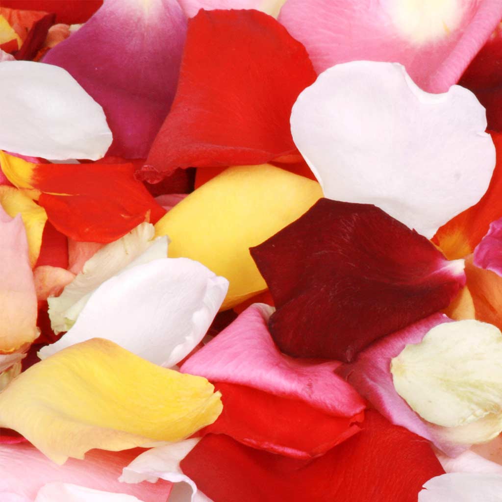 Rose Petals - Bag